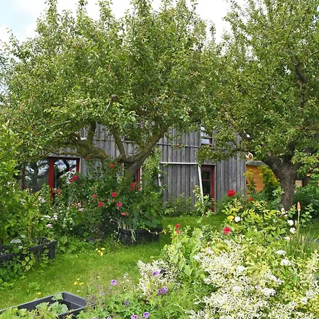 Mit Dachterrasse Kamin Nahe Dem Strelasund Franken Vorstadt